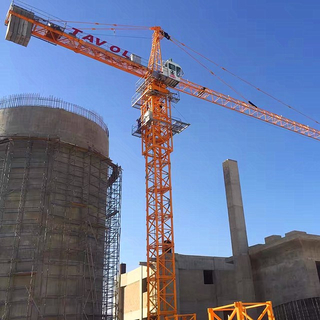 Hammerhead Topkit Tower Crane Service in Cement Factory